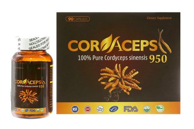 Đông trùng hạ thảo Cordyceps 950