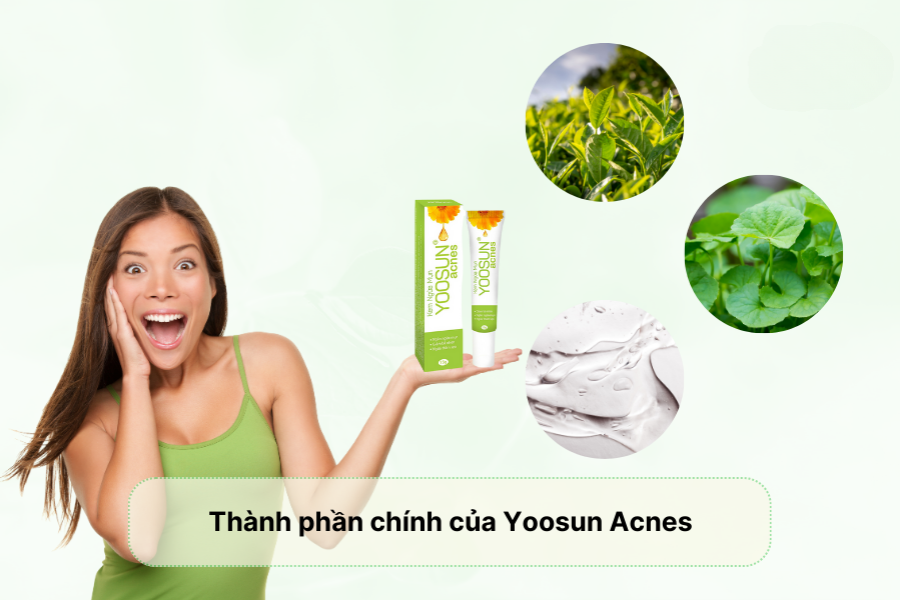 Thành phần của Yoosun Acnes và tác dụng đối với mụn đầu đen