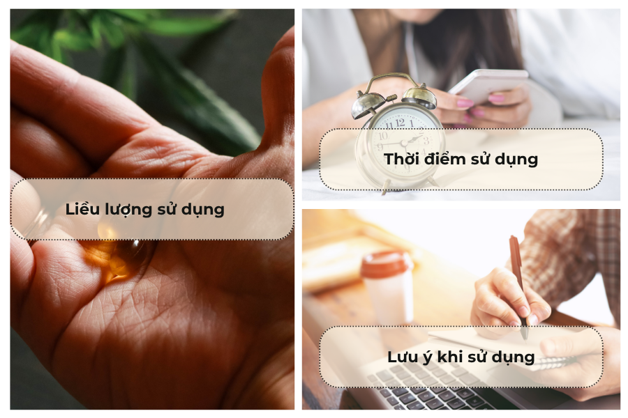 Cách sử dụng thuốc bổ sung Ginkgo Biloba