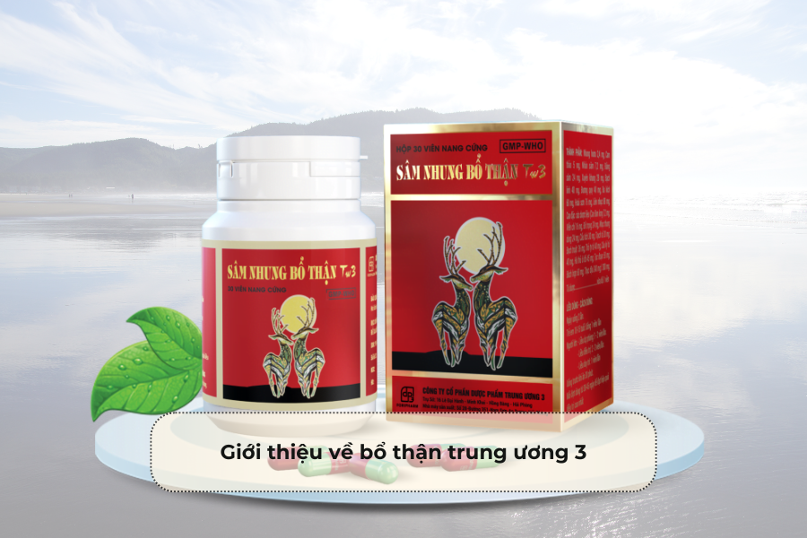 Giới thiệu về bổ thận trung ương 3