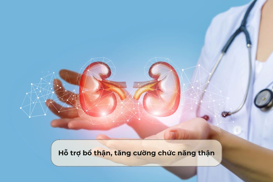 Hỗ trợ bổ thận, tăng cường chức năng thận