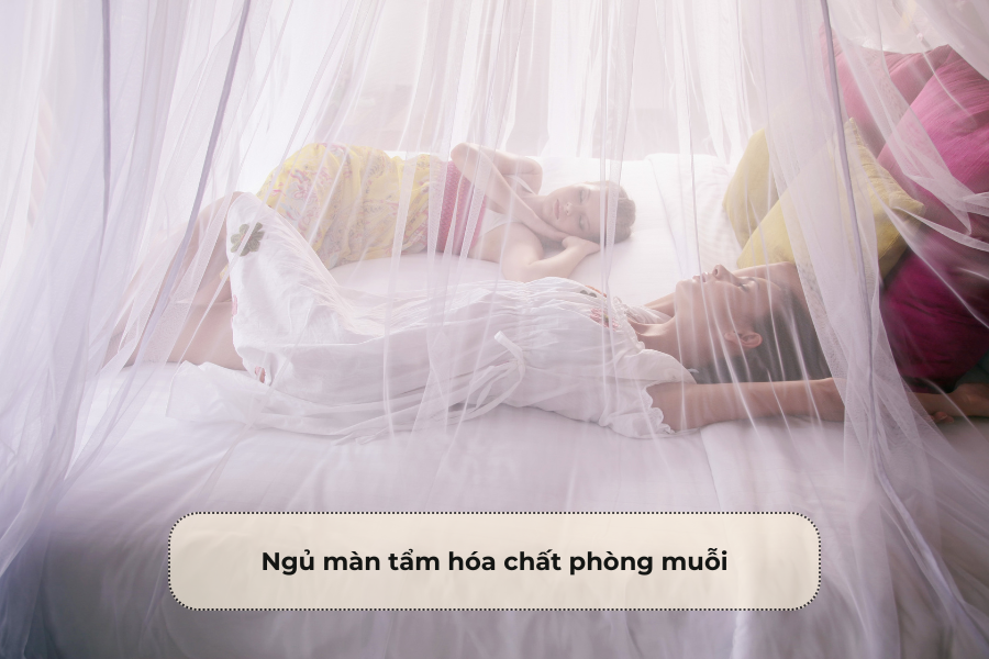 Ngủ màn tẩm hóa chất phòng muỗi