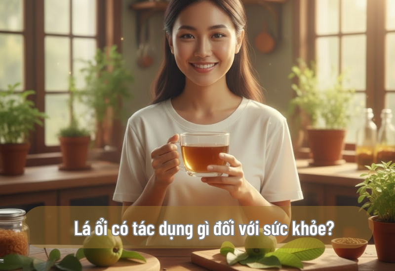 Lá ổi có tác dụng gì đối với sức khỏe