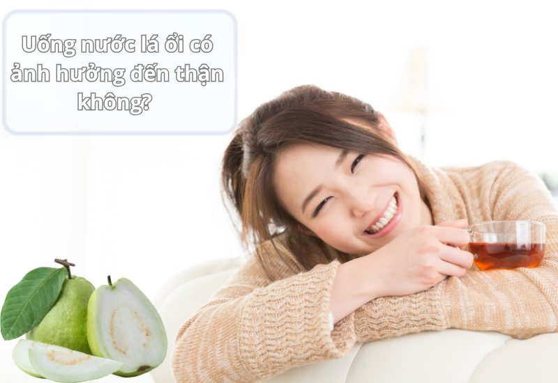 Uống nước lá ổi có ảnh hưởng đến thận không