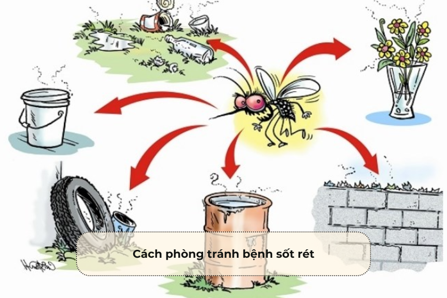 Cách phòng tránh bệnh sốt rét