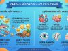 Omega 3 là gì và có lợi ích gì