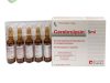 Cerebrolysin 10ml – Thuốc Gì, Chỉ Định Và Những Điều Cần Biết