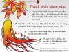 Thành phần và cách sử dụng nhân sâm