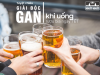 Rượu bia hủy hoại gan thế nào?