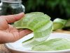 Mách bạn mẹo trị nám da bằng nha đam ngay tại nhà