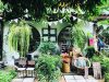 Bí quyết thiết kế quán cafe ngoài trời thu hút sự chú ý của khách hàng